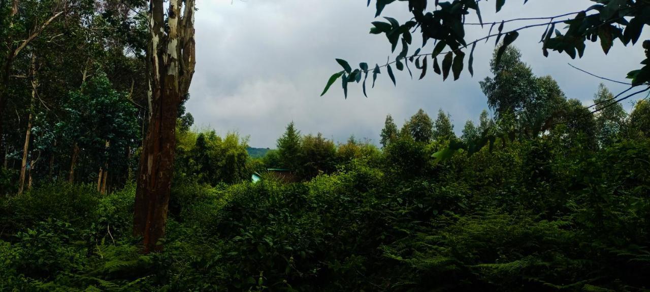Under Volcanoes View Guest House Nyarugina Exterior foto